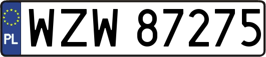 WZW87275