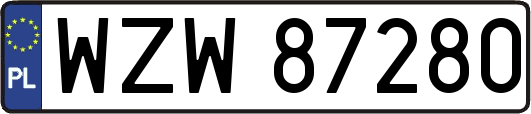 WZW87280