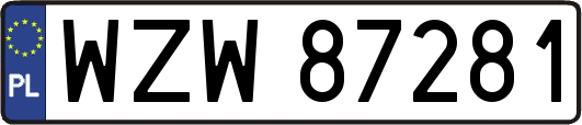 WZW87281