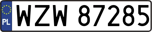 WZW87285