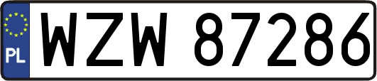 WZW87286