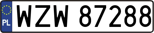 WZW87288