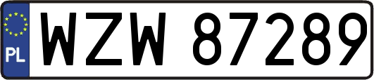 WZW87289