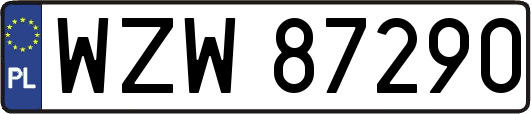 WZW87290