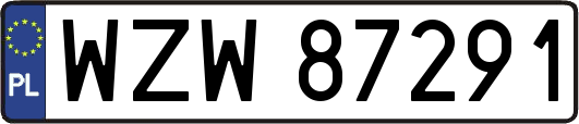 WZW87291
