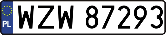 WZW87293