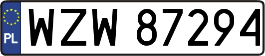 WZW87294