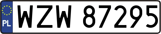 WZW87295