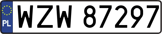 WZW87297