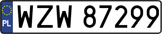 WZW87299
