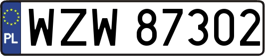 WZW87302