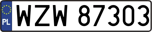 WZW87303