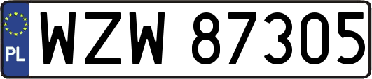 WZW87305