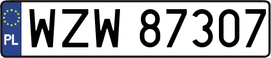 WZW87307
