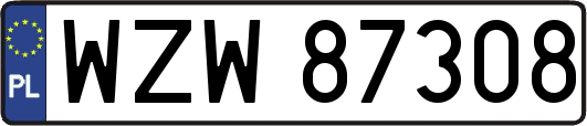 WZW87308