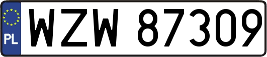 WZW87309