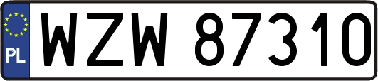 WZW87310
