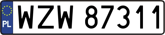 WZW87311