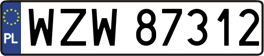 WZW87312