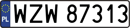 WZW87313