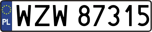WZW87315