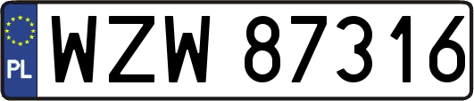 WZW87316