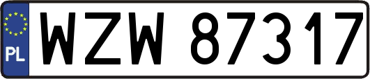 WZW87317