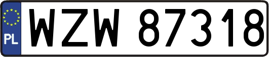 WZW87318