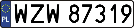 WZW87319