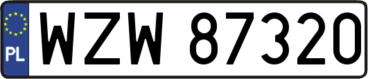 WZW87320