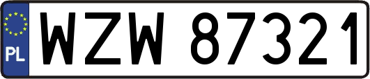 WZW87321