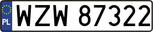 WZW87322