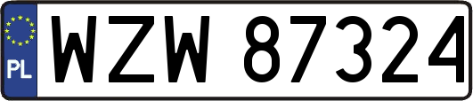 WZW87324