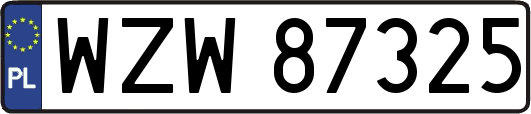 WZW87325