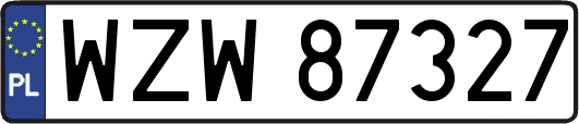 WZW87327