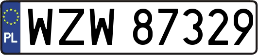 WZW87329