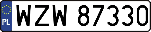WZW87330