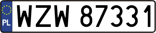 WZW87331