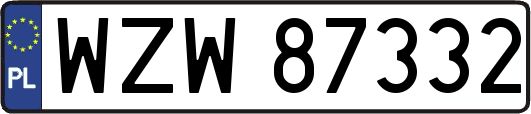 WZW87332