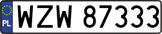 WZW87333