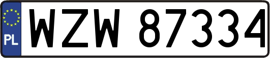 WZW87334