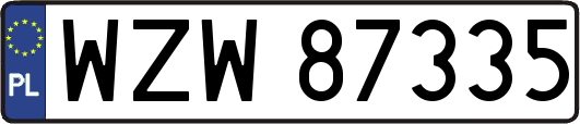 WZW87335