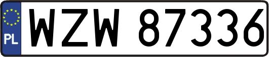 WZW87336
