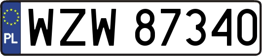 WZW87340