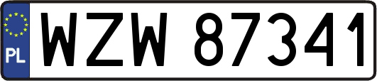 WZW87341