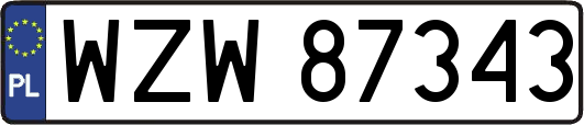 WZW87343