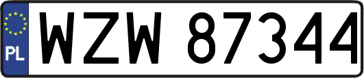 WZW87344