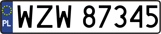 WZW87345