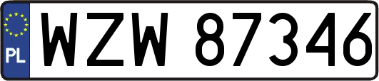 WZW87346