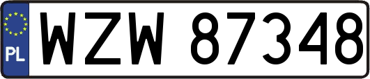 WZW87348